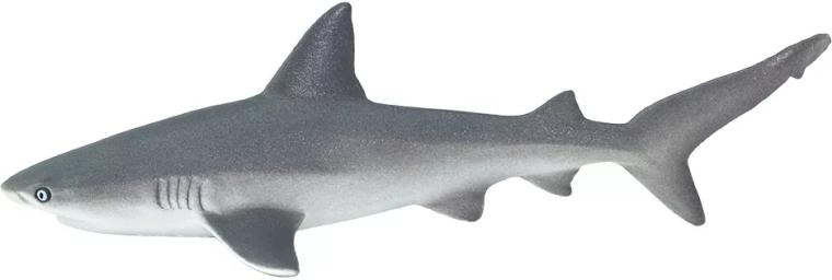 Safari Ltd. Καρχαρίας νοσοκόμα (υφαλοκαρχαρίας) - 1 τεμάχιο