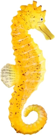 Συμπαγές μέγεθος 8 cm
