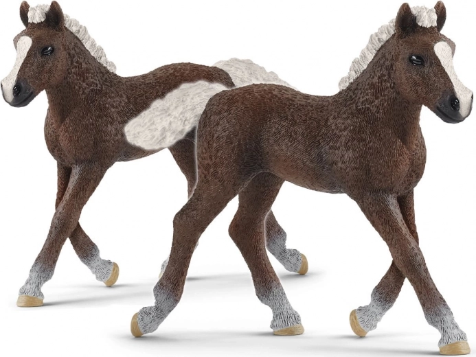 SCHLEICH HORSE CLUB πουλάρι Schwarzwald – φιγούρα