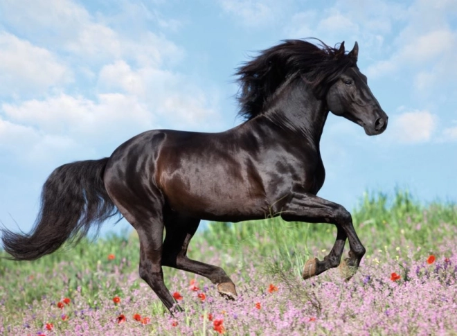 Παζλ Ravensburger Όμορφα άλογα 200 κομμάτια