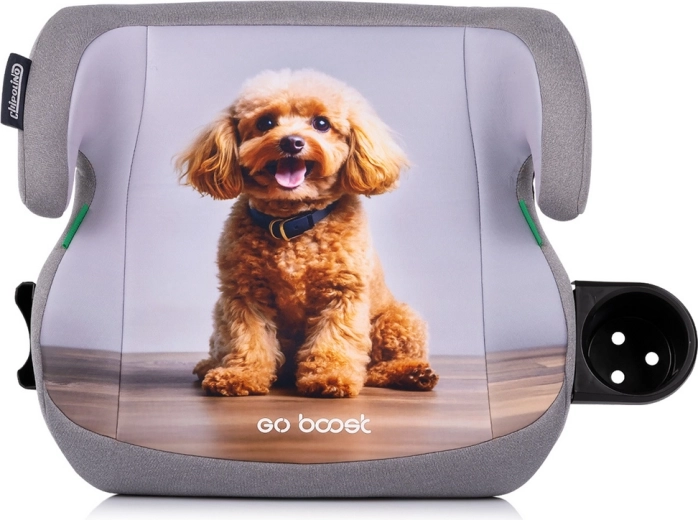 Κάθισμα ανύψωσης αυτοκινήτου i-Size 125–150 cm Chipolino Go Boost Poodle