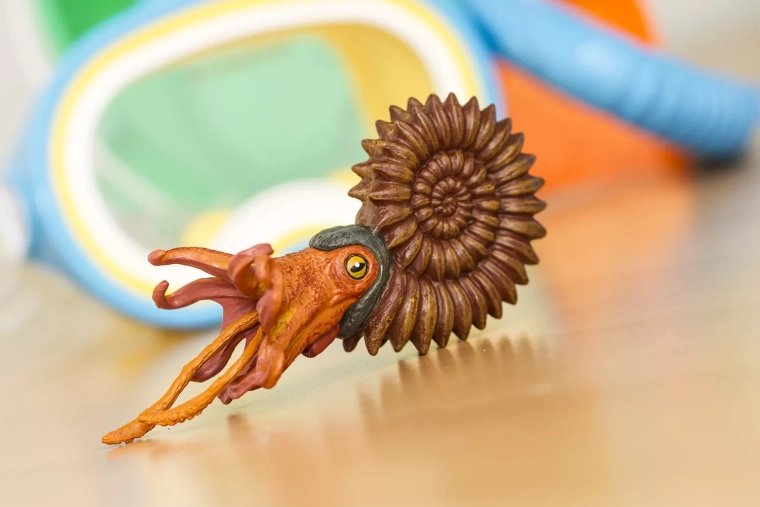 Ιδανικό για παιχνίδι και εκπαίδευση
