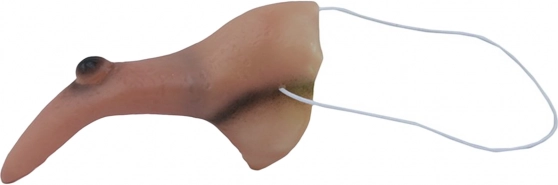 Μυστηριώδης μύτη μάγισσας με μυρμηγκιά για το Halloween