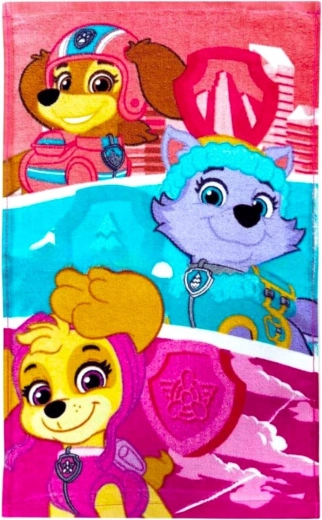 Πετσέτα Paw Patrol 30 × 50 cm