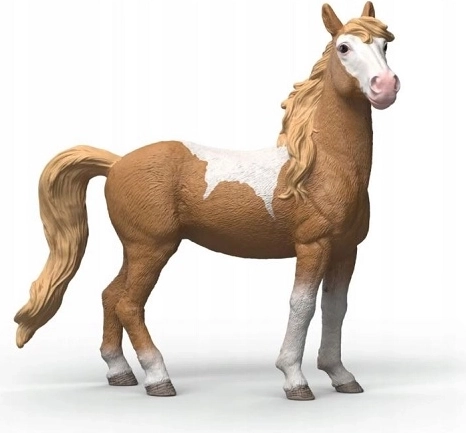 SLH φοράδα mustang