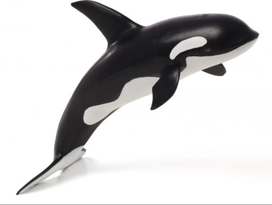 Mojo Deluxe Όρκα