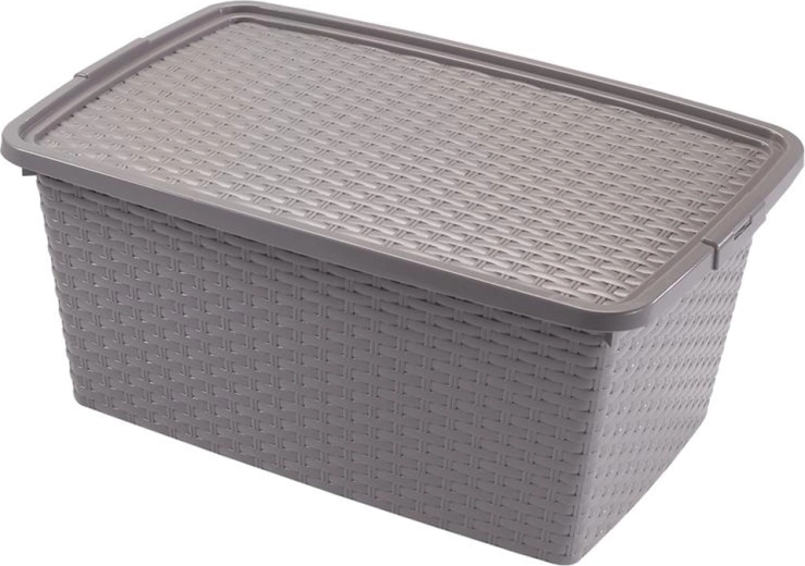 Πλαστικό κουτί αποθήκευσης με καπάκι Heidrun Rattan 20 l