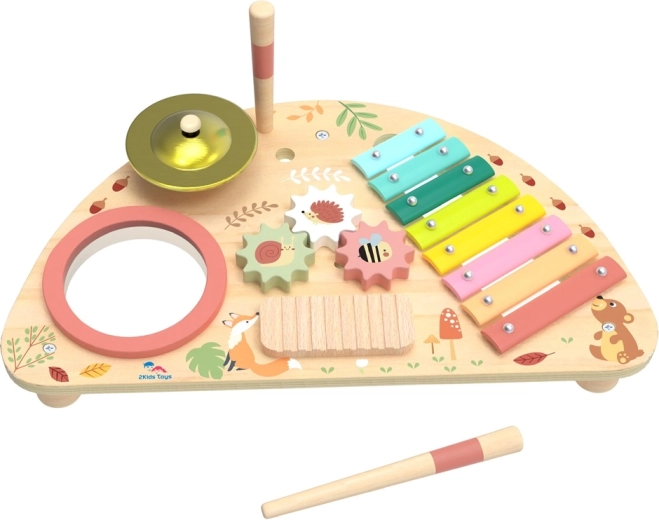 2Kids Toys Πολυλειτουργική μουσική σανίδα για παιδιά