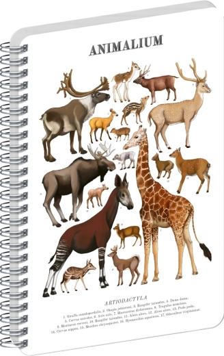 Notique σπιράλ μπλοκ Animalium οπληφόρα με ζυγό αριθμό δακτύλων καθαρό A5