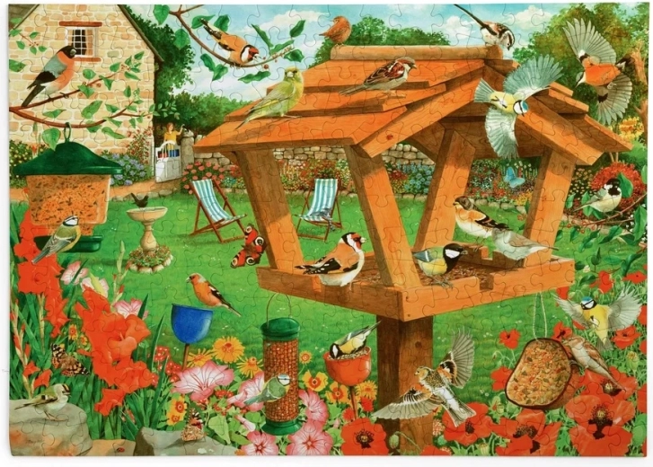 Παζλ House of Puzzles Όλα για τα πουλάκια, 250 μεγάλων κομματιών