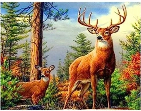 Norimpex διαμαντένια ζωγραφική ελάφι στα βουνά 30 × 40 cm