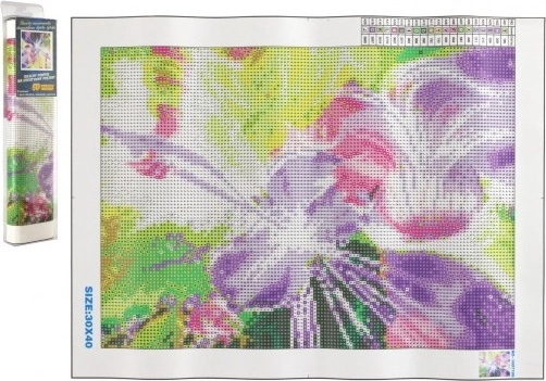 Ζωγραφική με διαμάντια – μαγική βιολονίστρια 30 × 40 εκ.