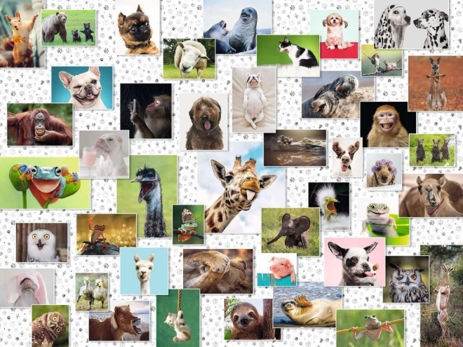 Παζλ Ravensburger Funny Animals Collage με 1500 κομμάτια