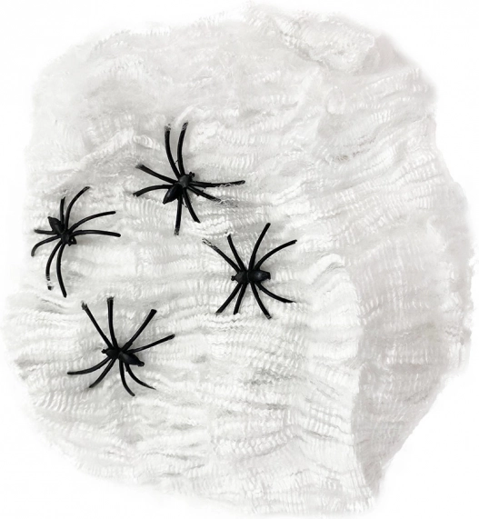 Διακόσμηση ιστός αράχνης για το Halloween