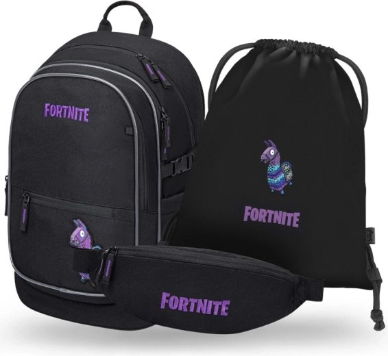 Σετ BAAGL 3 Core Fortnite Llama
