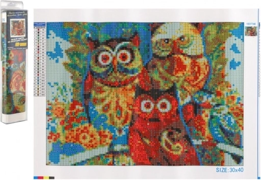 Διαμαντένια ζωγραφική Κουκουβάγιες 30x40 cm