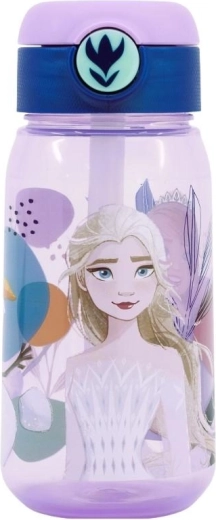 Μπουκάλι για ποτό Frozen 510 ml