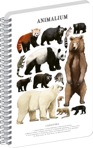 Notique σπιράλ μπλοκ Animalium – αρκτόμορφα θηρία, λευκό, A5
