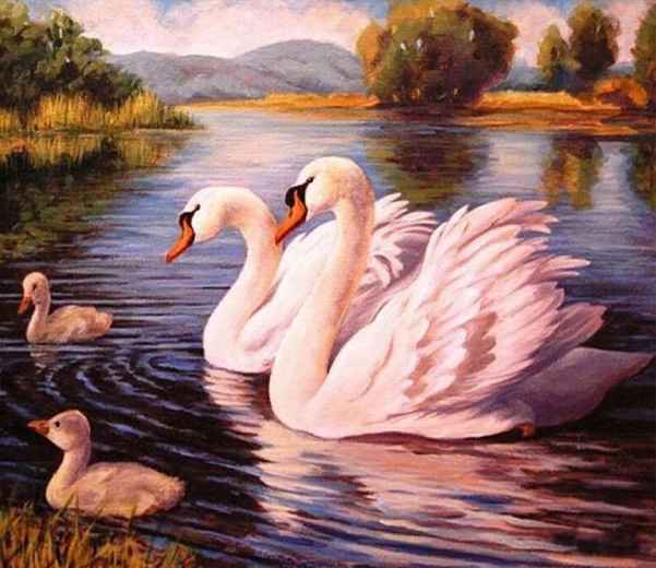 Norimpex Ζωγραφική με αριθμούς Κύκνοι 40 × 50 cm