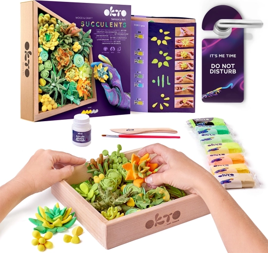 Σετ καλλιτεχνικής μοντελοποίησης OKTO Energy με παχύφυτα σε ξύλινο πλαίσιο