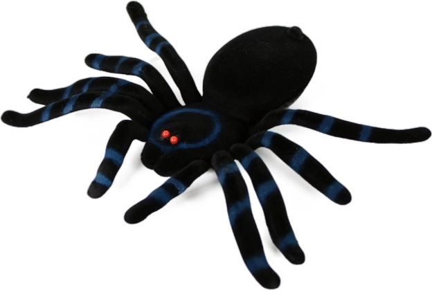 Λούτρινη αράχνη για το Halloween