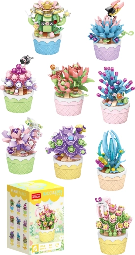 Florist παχύφυτα σε διακοσμητικές γλάστρες (9 είδη) - 1 τεμάχιο