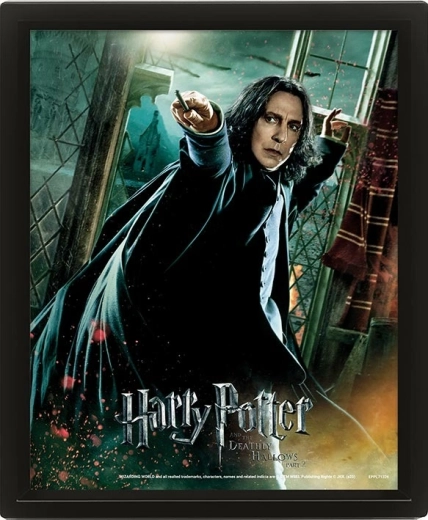3D εικόνα HARRY POTTER – Severus Snape