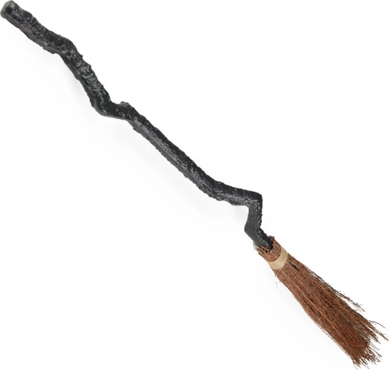 Μαγική σκούπα