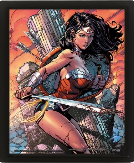 3D εικόνα WONDER WOMAN Battle