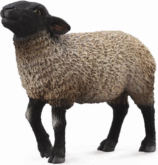 Collecta πρόβατο Suffolk πλαστική φιγούρα