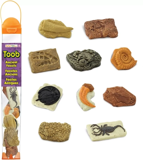 Safari Ltd. Toobs σωλήνας με απολιθώματα