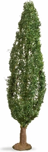 NOCH λεύκα (Master Tree) 18 cm