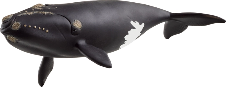 Ζωάκι Schleich – βόρεια φάλαινα του Ατλαντικού