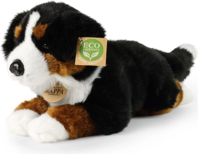 Λούτρινος σκύλος Μπερνέζ 34 cm ECO-FRIENDLY