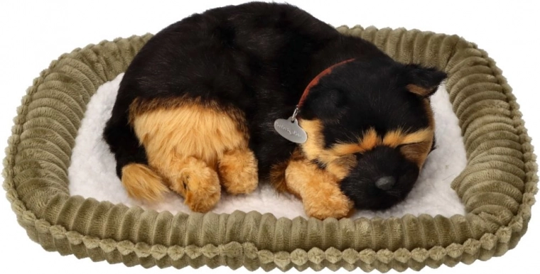 Ρεαλιστική αναπνοή και ήρεμος ύπνος