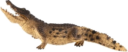 Ιδανικό για μάθηση και συλλογή