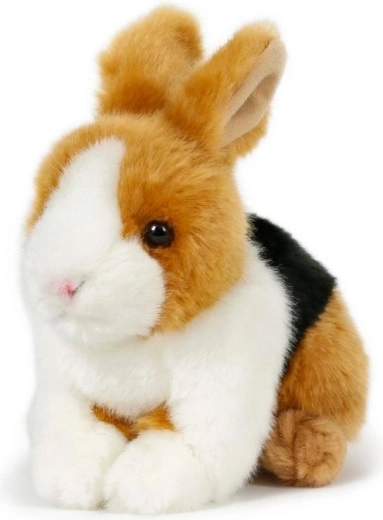 Απαλό λούτρινο για το πιο τρυφερό αγκάλιασμα