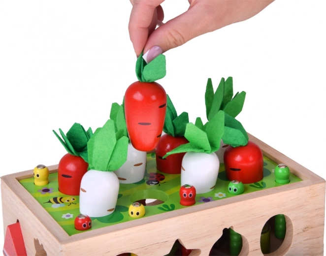 Συγκομιδή καρότων και ραπανιών με τσόχινα φυλλαράκια