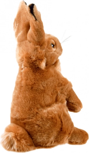 Ποιοτική Κατασκευή