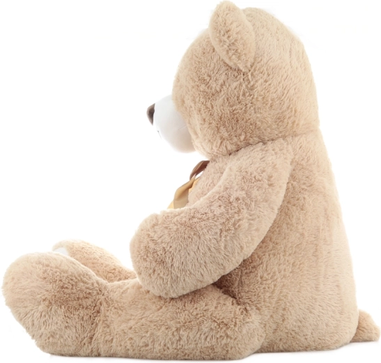 Χαριτωμένος σχεδιασμός με κορδέλα