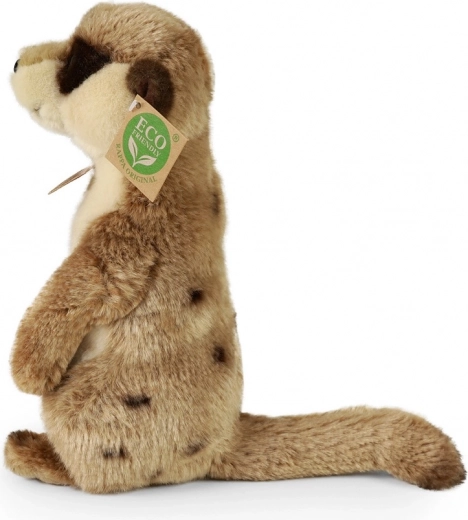 Οικολογική Προσέγγιση