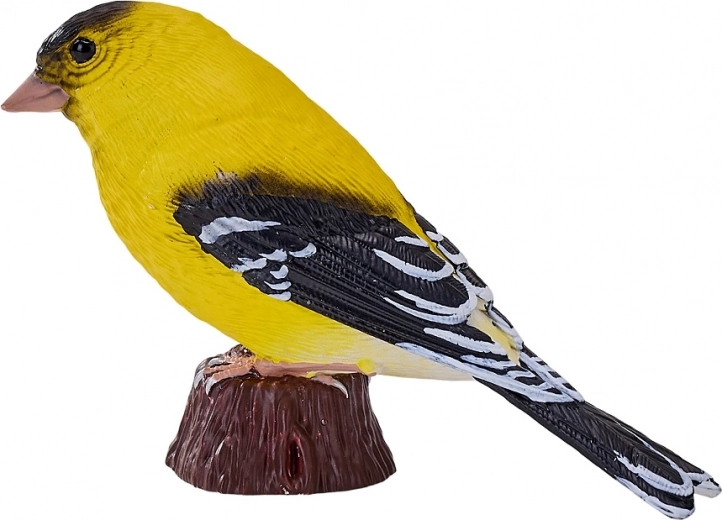 Πιστή απεικόνιση της κίτρινης σπίζας