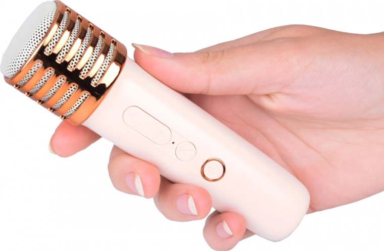 Καραόκε με φίλους