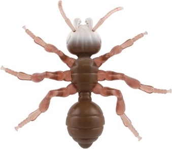 Κατάλληλο και για παιδιά