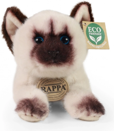Eco-Friendly Γέμιση