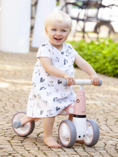 Υπέροχο μοτίβο φλαμίνγκο