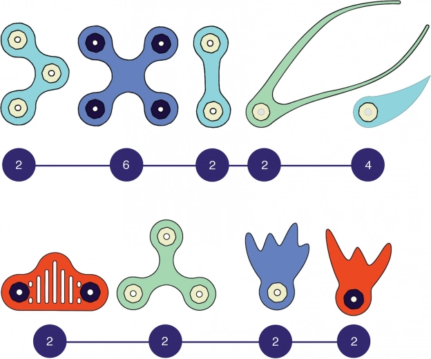 Ευέλικτα σχήματα και ισχυροί μαγνήτες