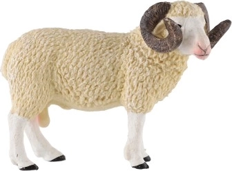 Εκπαιδευτική αξία