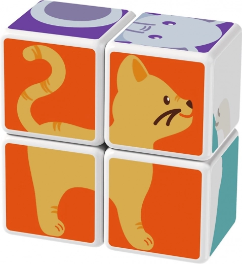 Κατασκευή ζωών σε 3D