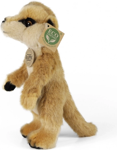 ECO‑FRIENDLY γέμιση από μπουκάλια PET